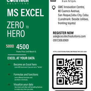 MS Excel 2024